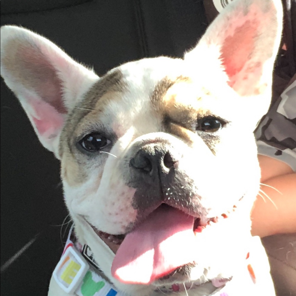 Meet your Posher, Crystal